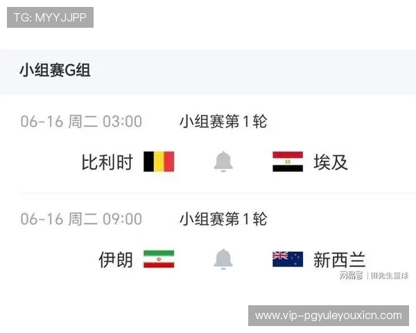 世界杯埃及对阵伊朗比赛入场时间及现场观赛指南详解 世界杯埃及对阵伊朗比赛入场时间及现场观赛指南详解